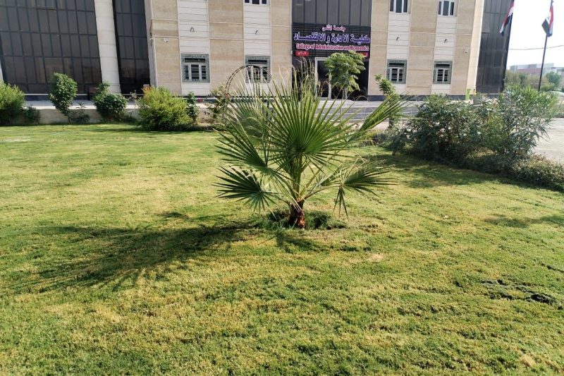 كلية الادارة والاقتصاد المثنى